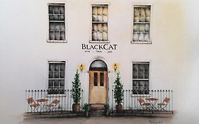 Black Cat